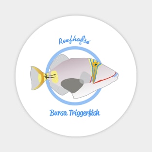 Bursa Triggerfish Magnet